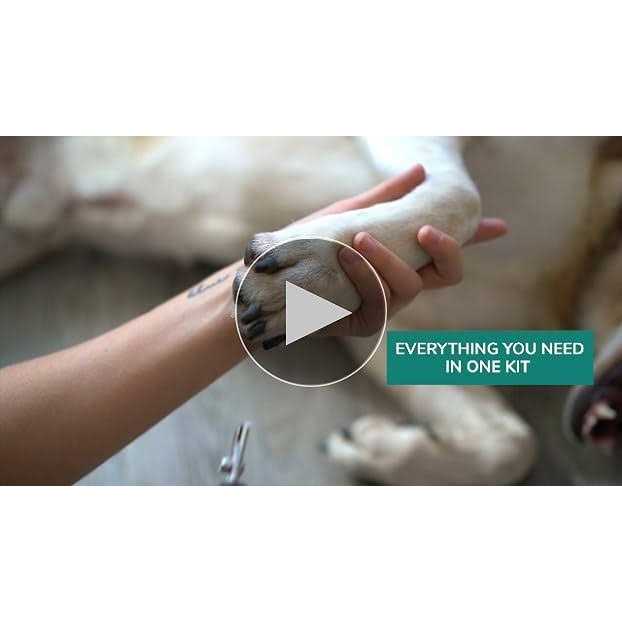 Pet Union Professional Dog Grooming Kit Cordless Low Noise Dog Clippers for Grooming Thick Coats - Image 3