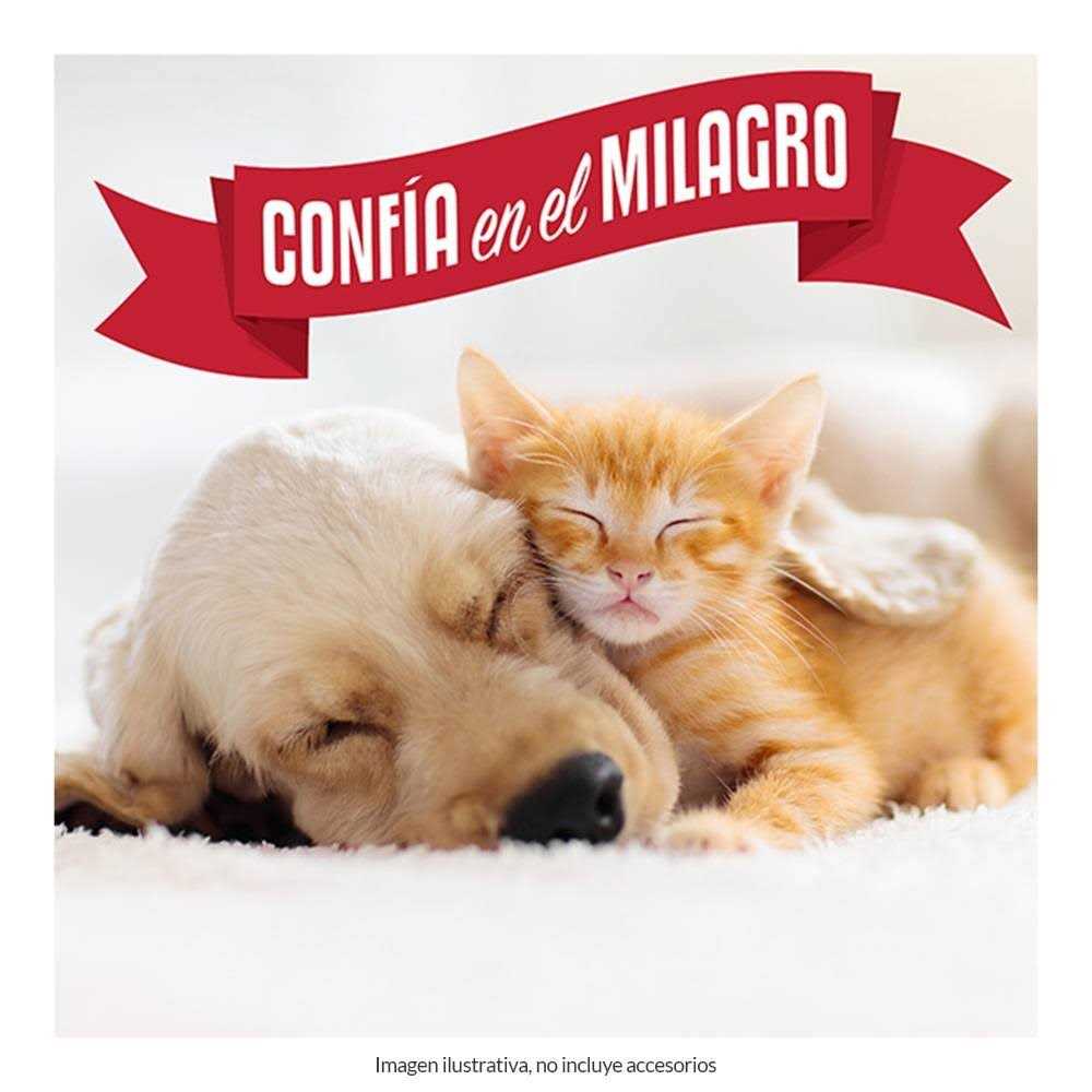 Nature's Miracle Shampoo & Conditioner Oatmeal - Image 4