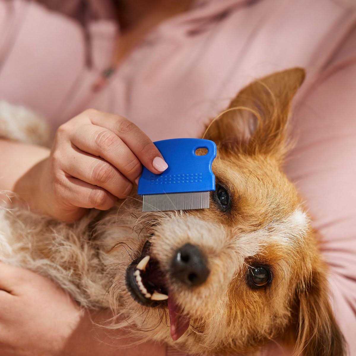 Petpost Tear Stain Remover Comb for Dogs Extra Fine Tooth Rake Gently & Effectively Gets Rid of Crust, Mucus, and Gunk Aroun - Image 4