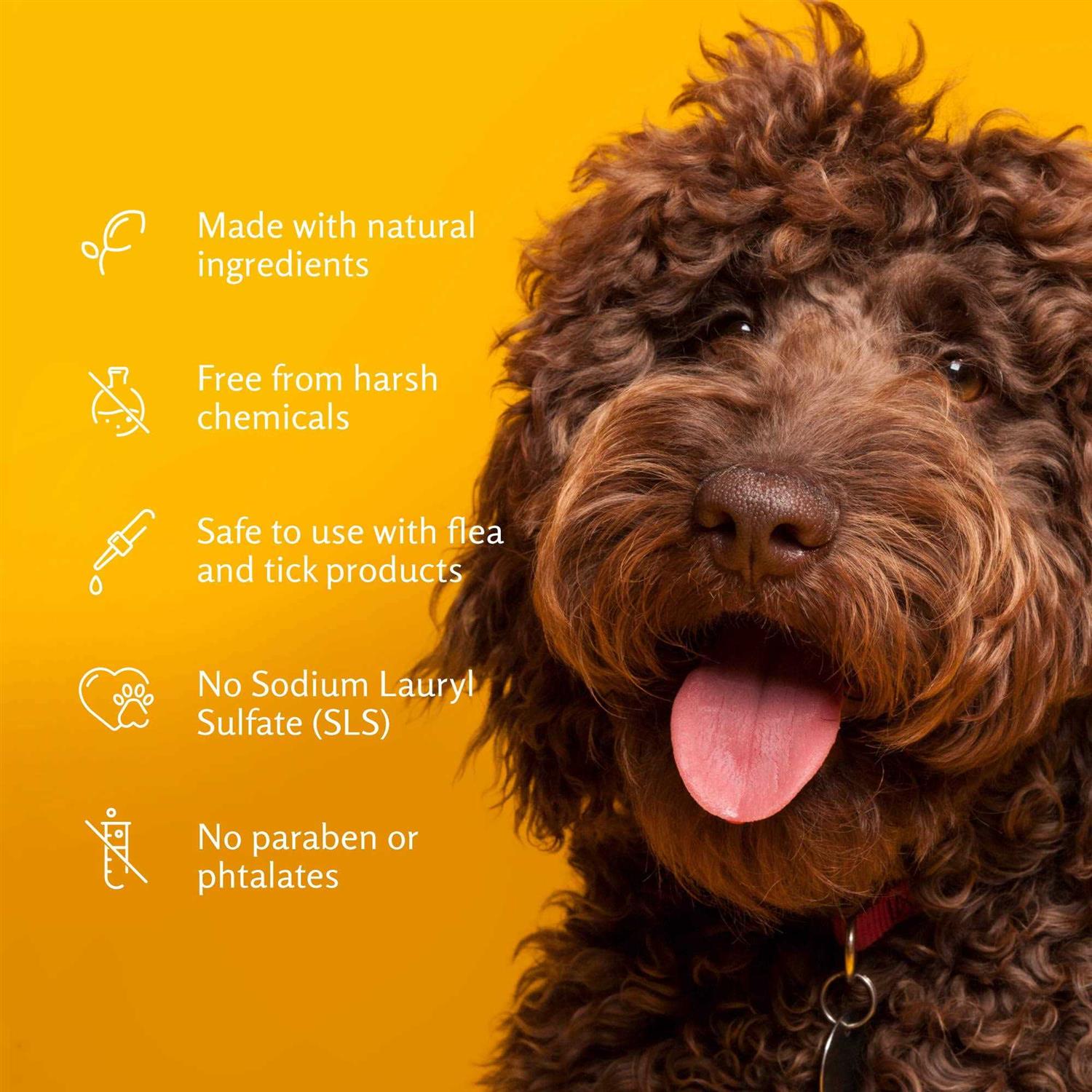 Arm & Hammer For Pets Super Deodorizing Spray For Dogs Best Odor Eliminating Spray For All Dogs & Puppies - Image 4