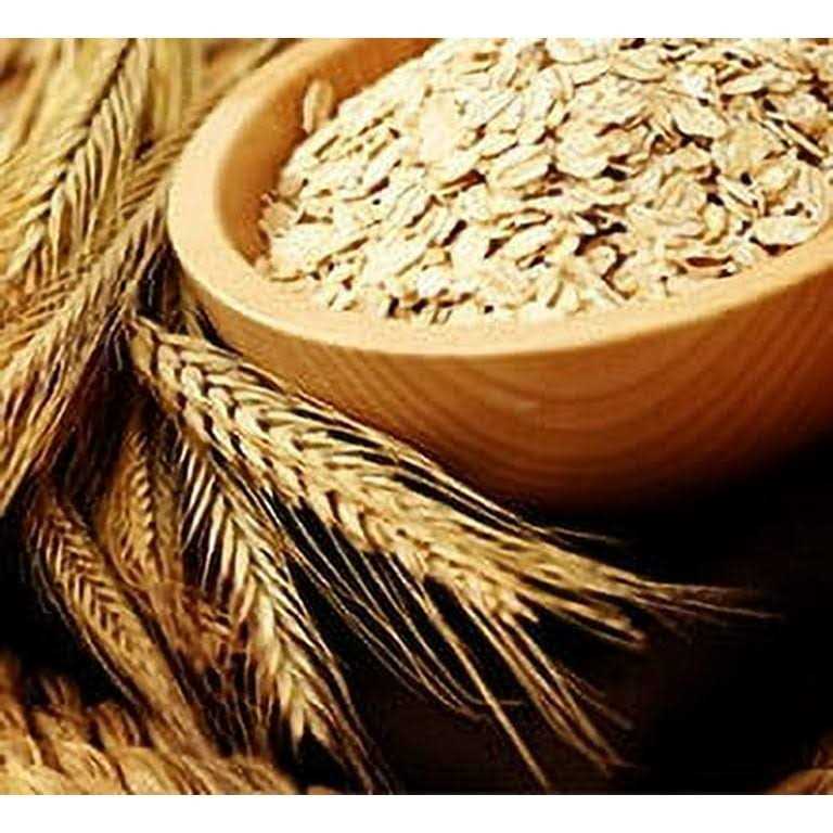 Vet's Best Waterless Dog Bath - Image 4