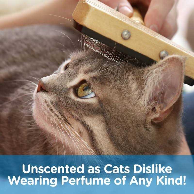 Pet MasterMind Fab Fur Kitty Detangling Cat Spray - Image 4