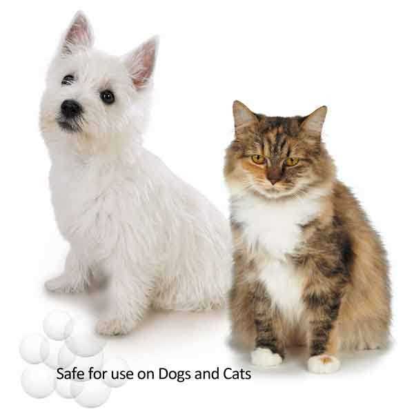 Fresh 'n Clean Moisturizing Shampoo - Image 4