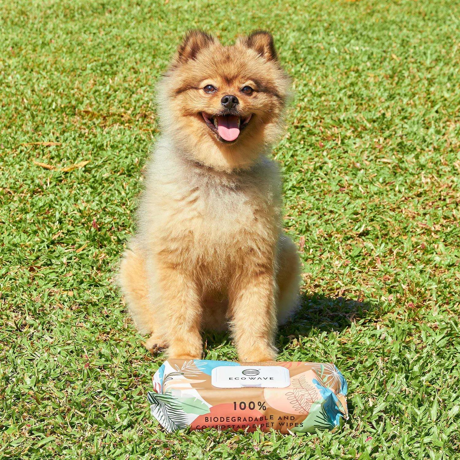 Eco Wave Pet Wipes 100% Biodegradable & Compostable Dog & Cat Cleansing Wipes - Image 5