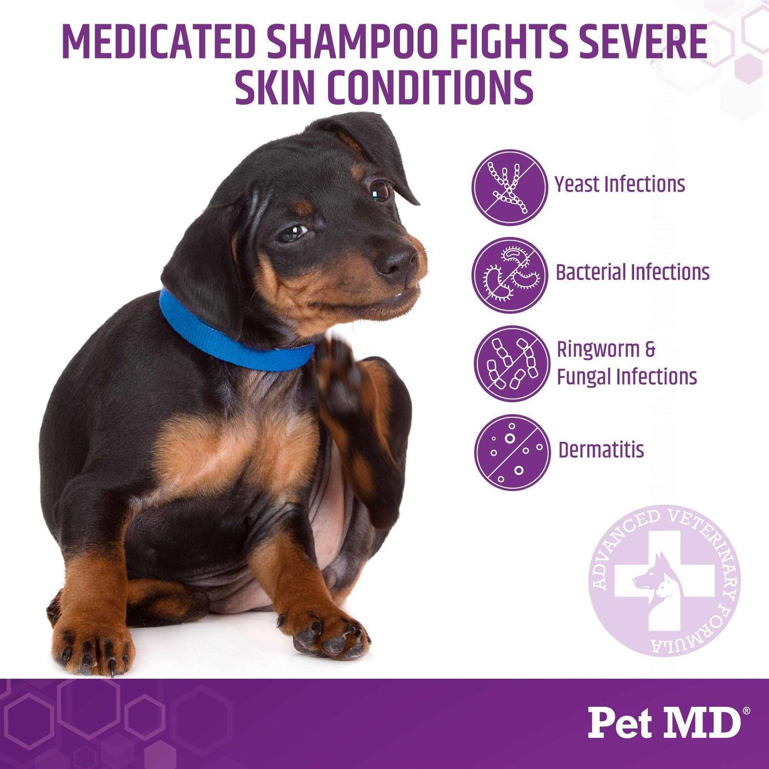 Pet MD Store Micoseb-CX Medicated Shampoo for Dogs - Image 3