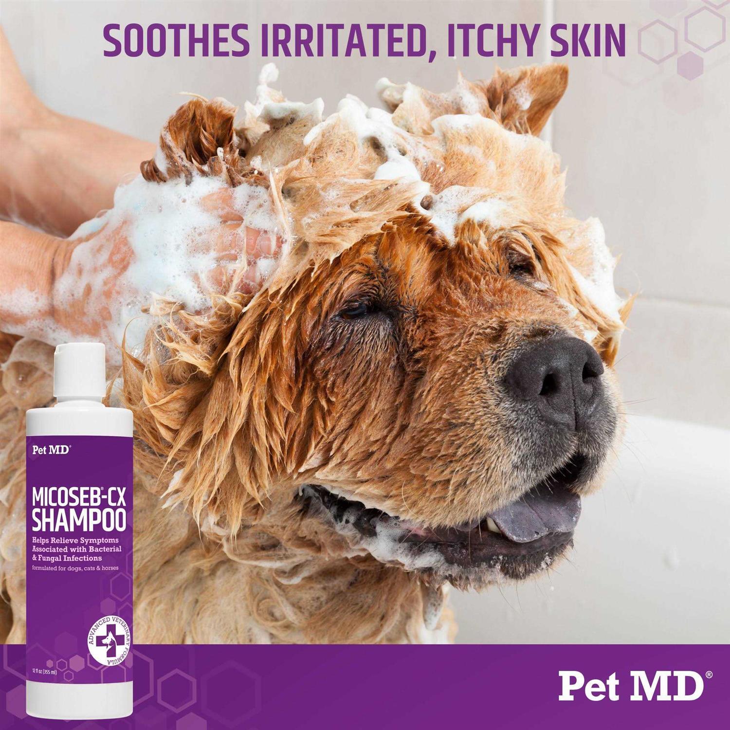 Pet MD Store Micoseb-CX Medicated Shampoo for Dogs - Image 5