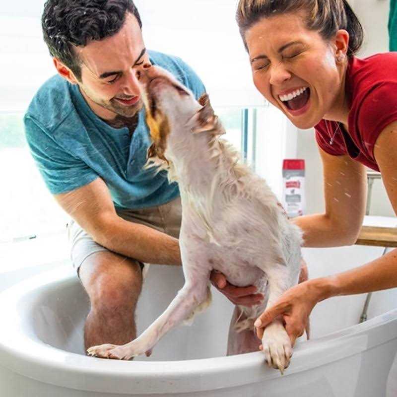 Nature's Miracle Hypoallergenic Shampoo & Conditioner - Image 4