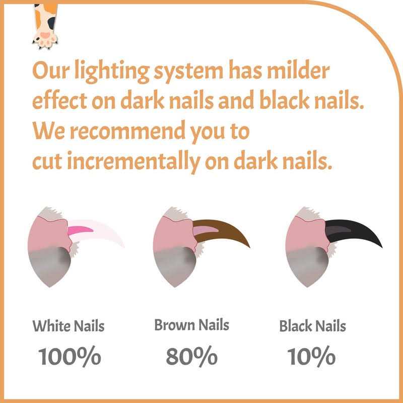 Pawsibility Reinvented Pet Nail Clippers for Your Pal Ultra Bright LED Light for Bloodline - Image 5