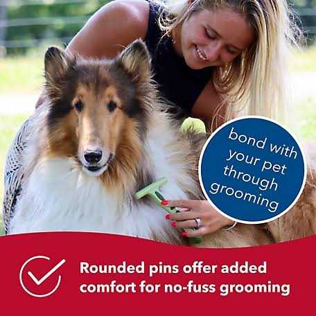 Safari Dog Double Row Undercoat Rake - Image 3