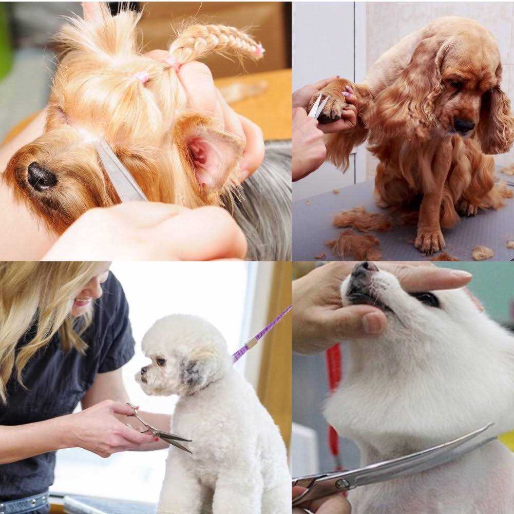 iSeaFly Dog Grooming Scissors Kit with Round Tip Set of 5 Cat Dog Scissors - Image 4