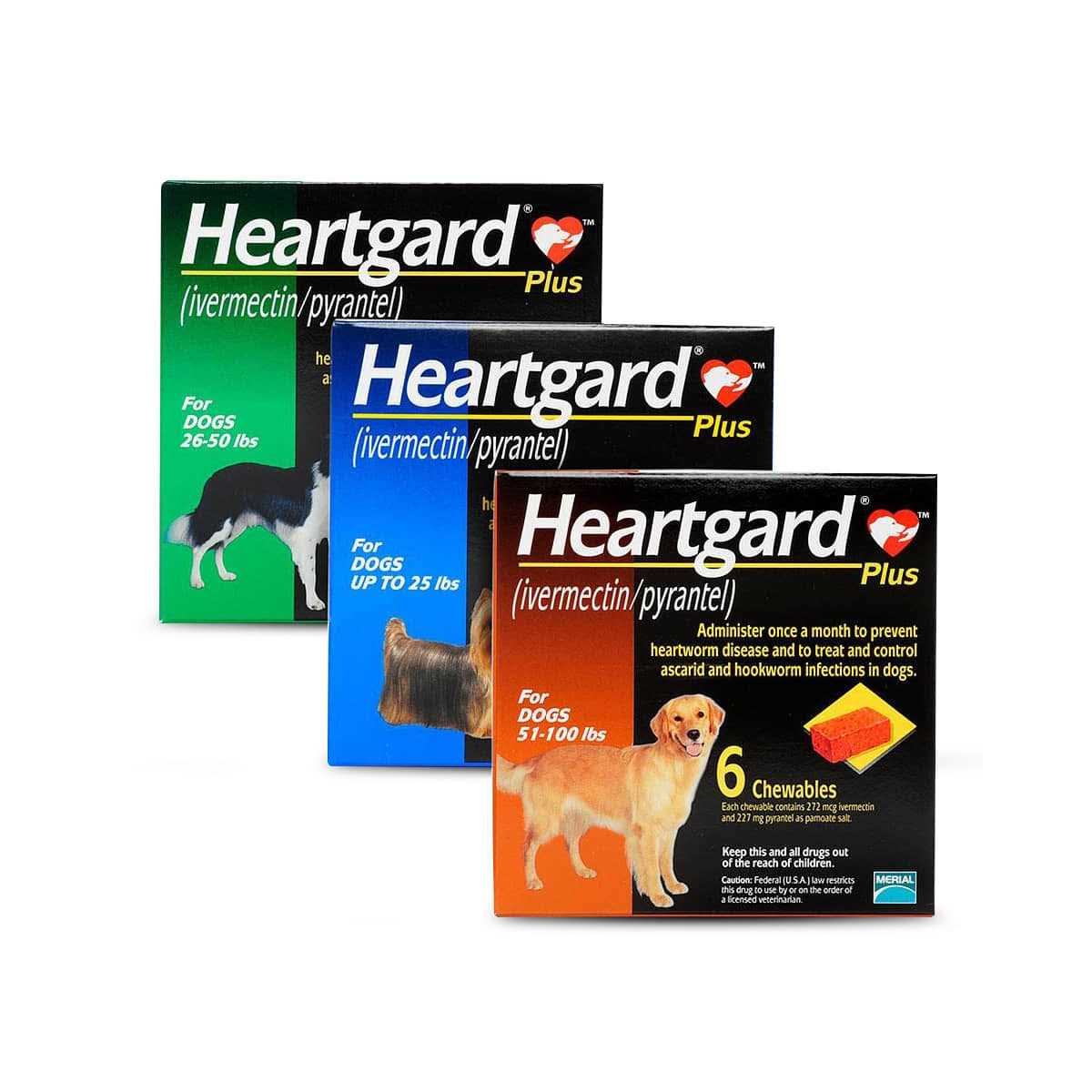 Heartgard Plus Chewables for Dogs 1-25 lbs - Image 3