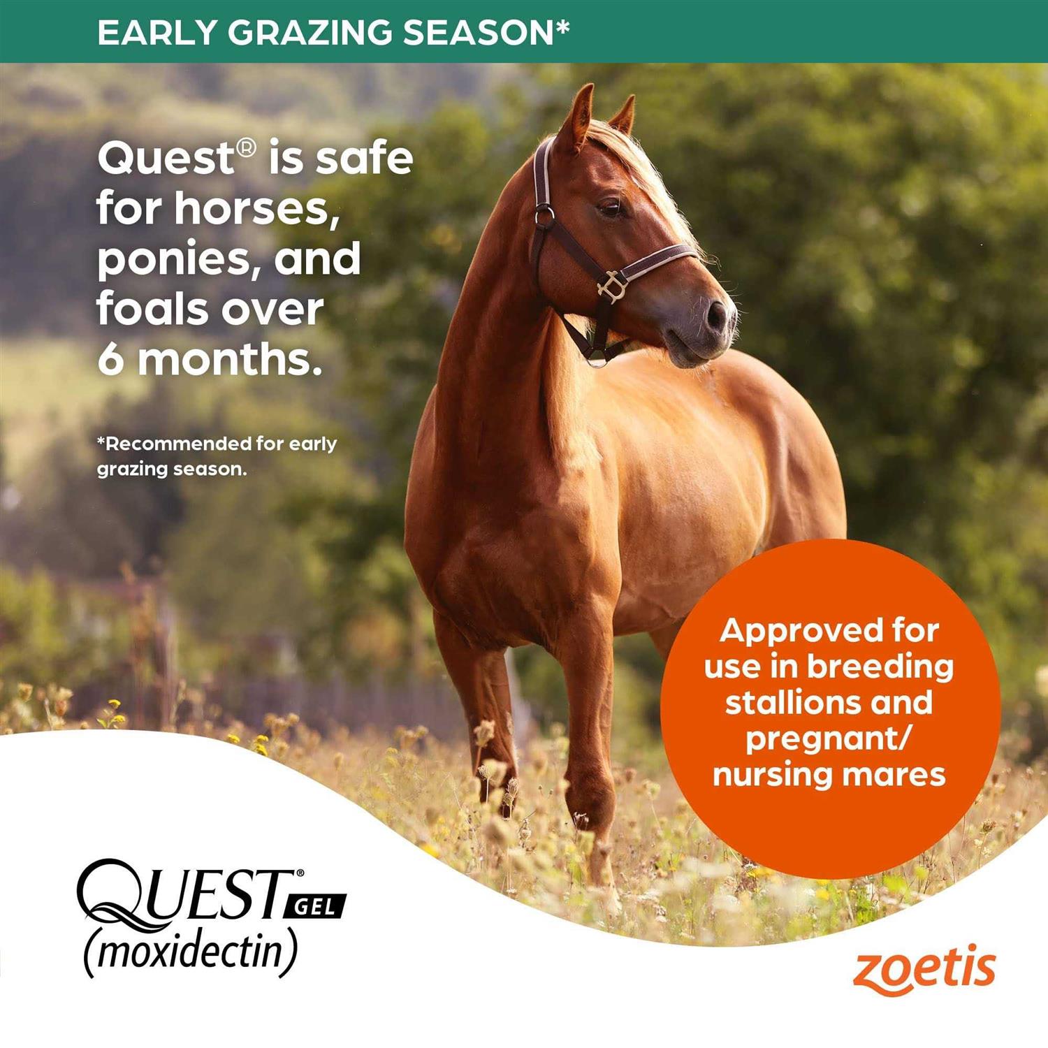 Quest Dewormer Gel - Image 3