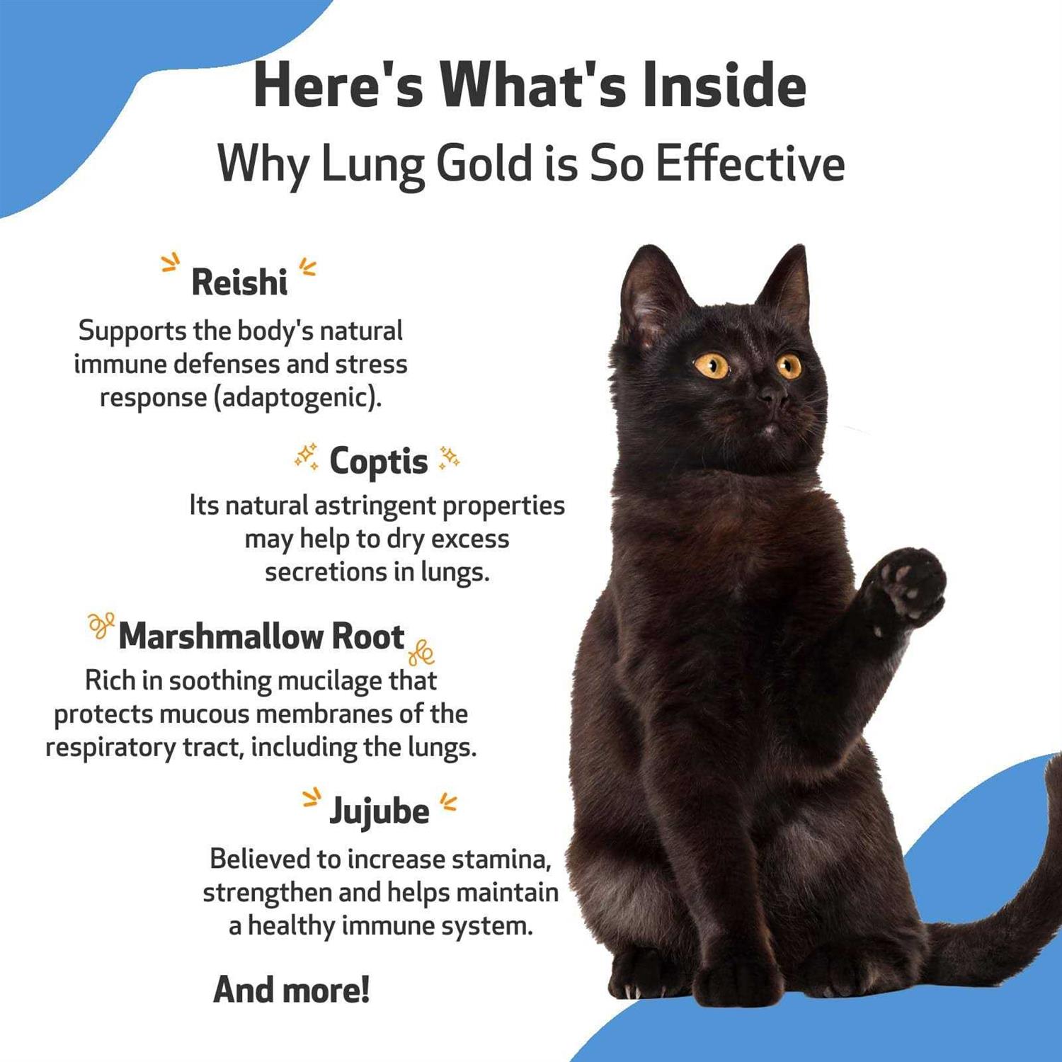 Pet Wellbeing Lung Gold for Cats - Image 3