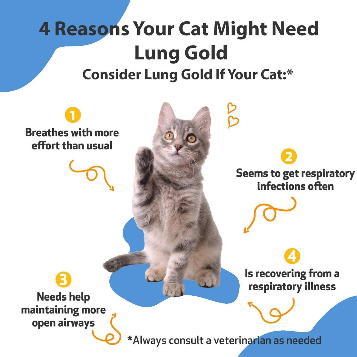 Pet Wellbeing Lung Gold for Cats - Image 5