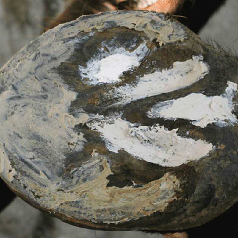 Artimud Hoof Clay 750g - Image 3