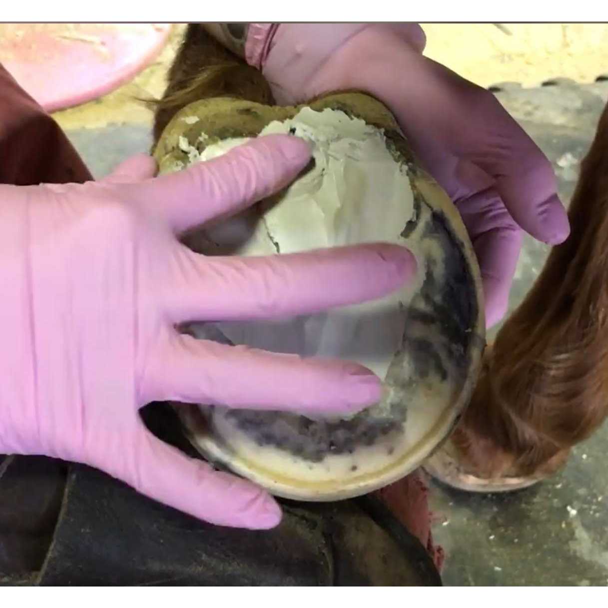 Artimud Hoof Clay 750g - Image 5