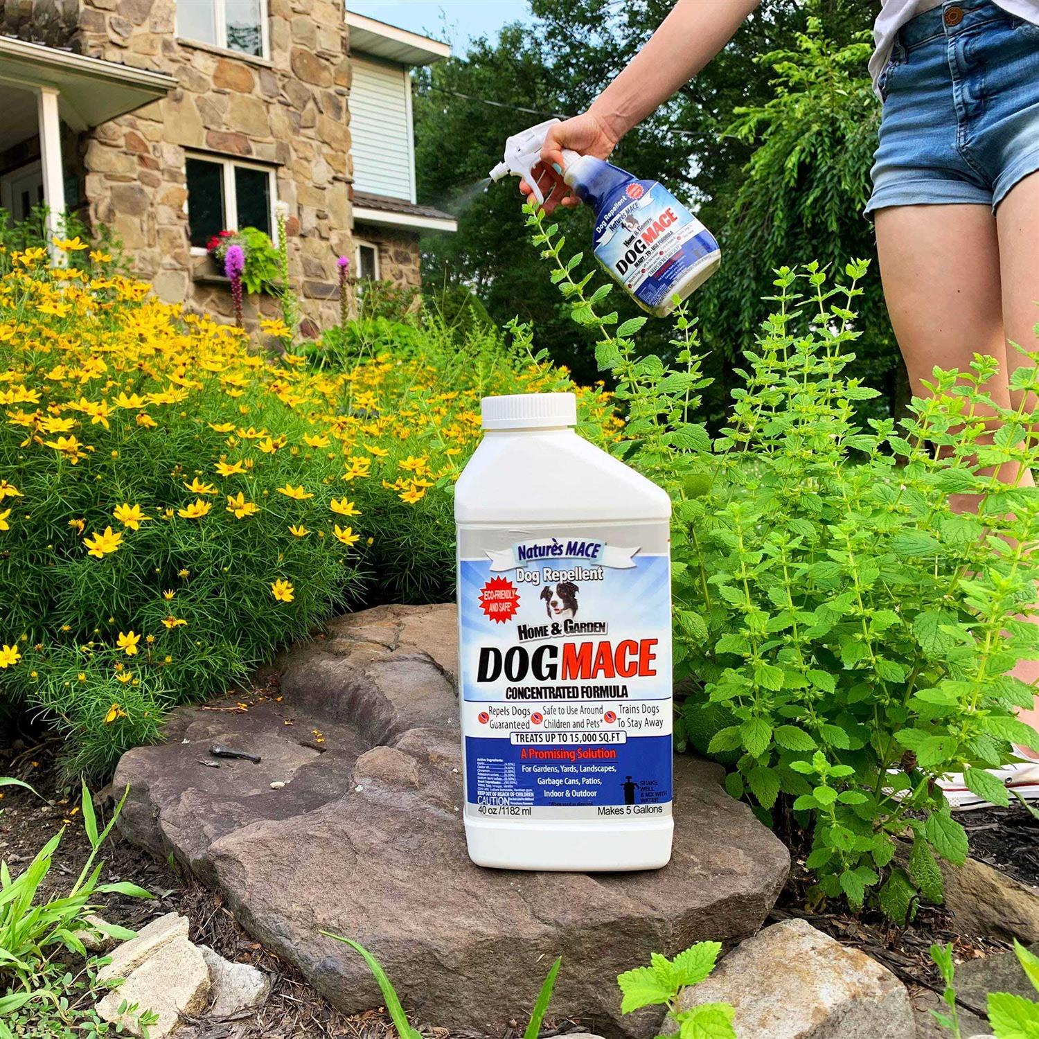 Nature's Mace Dog Repellent - Image 3