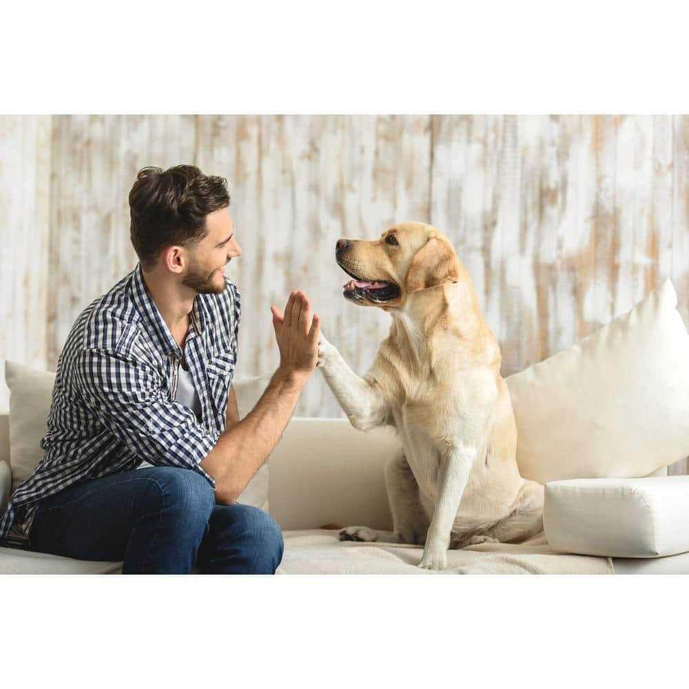 Gotta Go Grass with Tray - Image 4