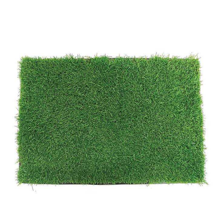 Gotta Go Grass with Tray - Image 5