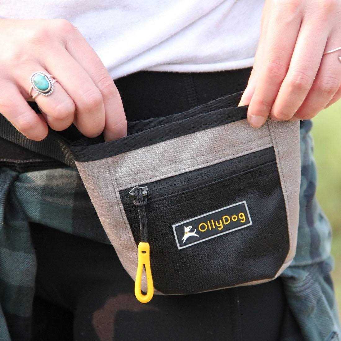 OllyDog Goodie Treat Bag - Image 4