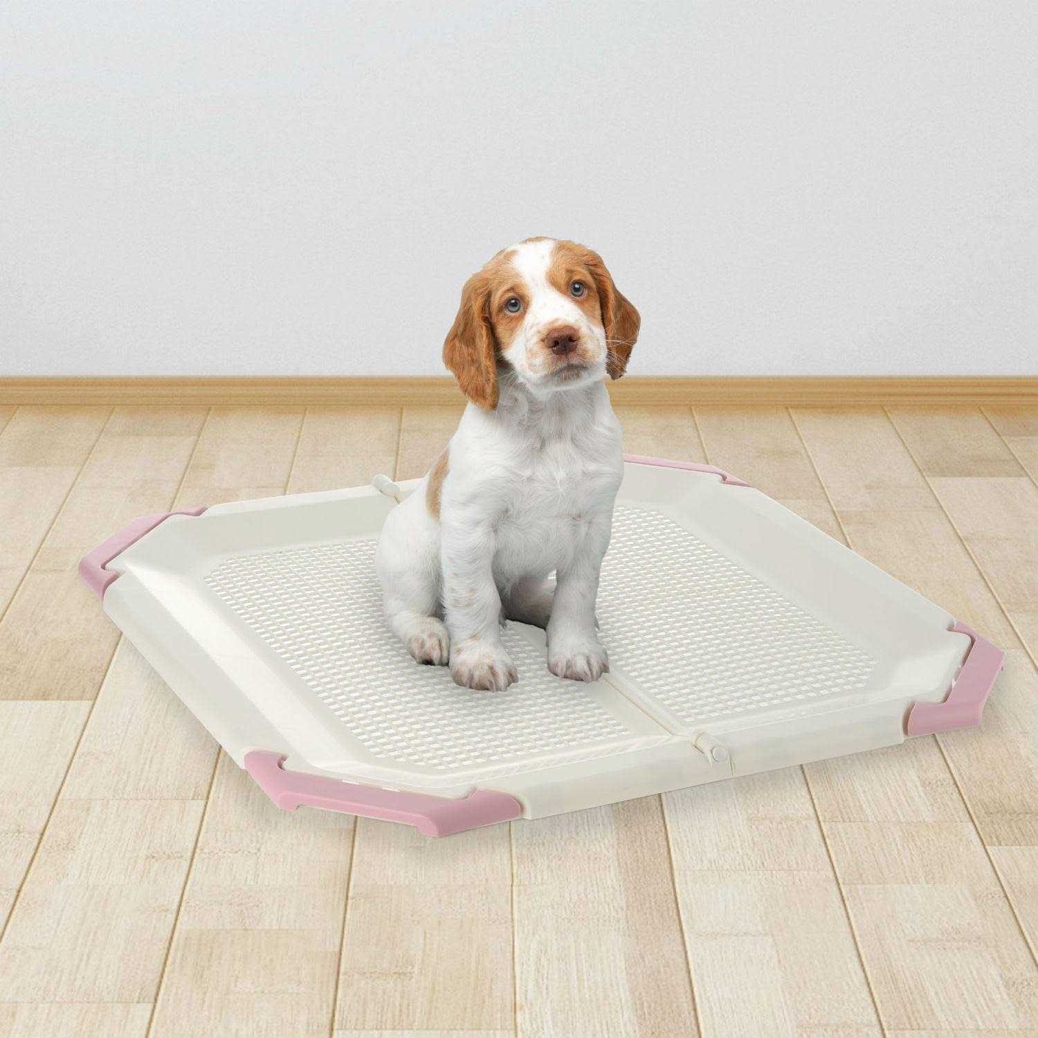 Richell PAW TRAX Potty Holder - Image 4