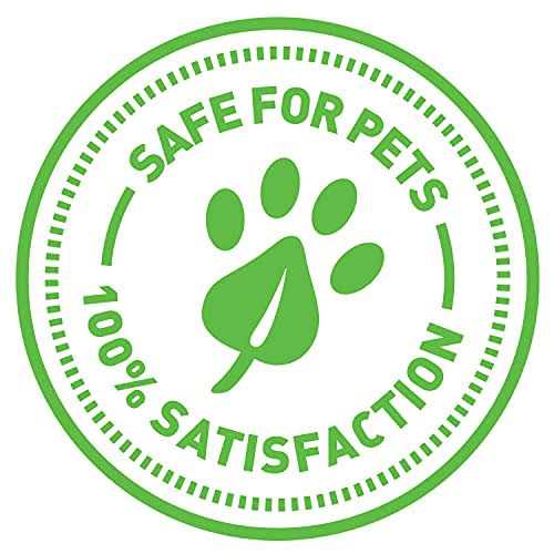 Petlinks Bliss Mist Catnip Spray - Image 3