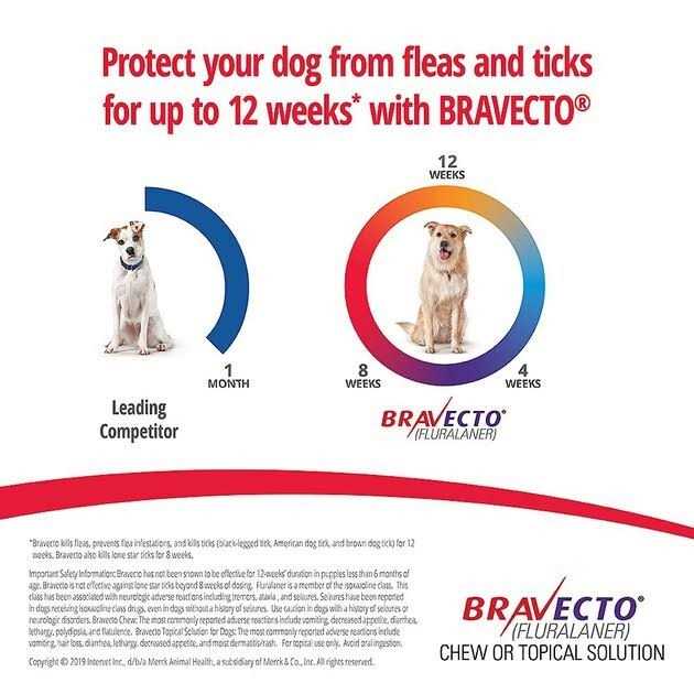 9.9-22 lbs Bravecto Chews for Dogs - Image 3