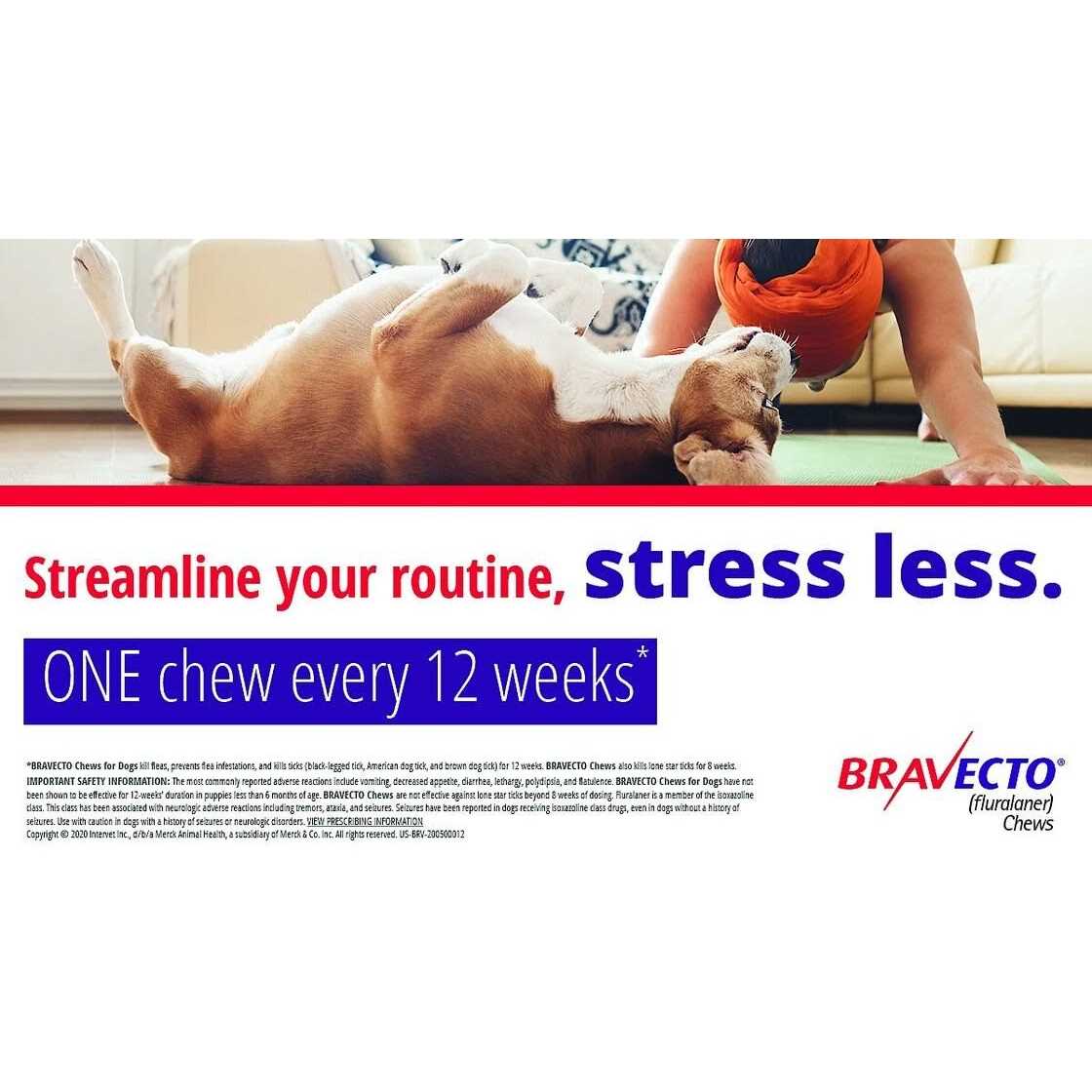 9.9-22 lbs Bravecto Chews for Dogs - Image 4