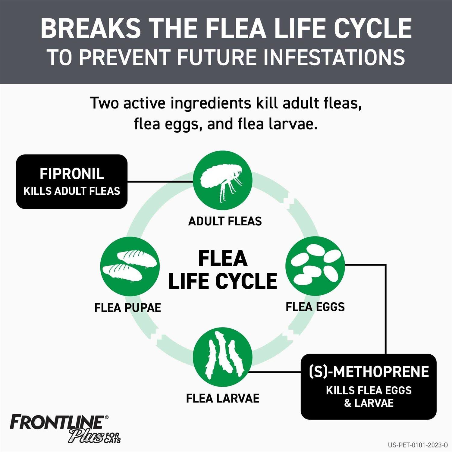 Frontline Plus Flea & Tick for Cats - Image 3