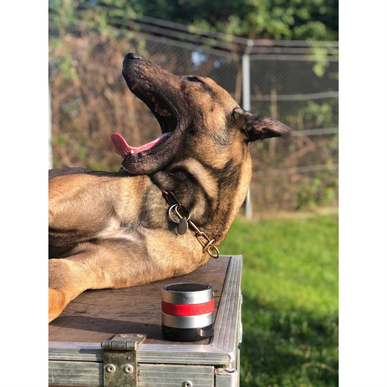 Relaxopet Pro Dog - Image 4