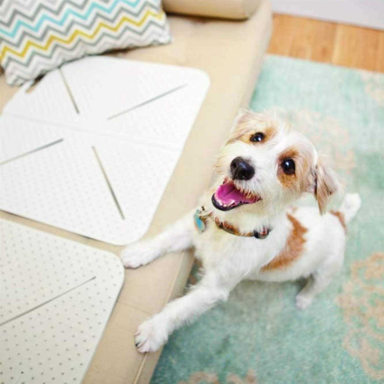 Mammoth X Mat Original Pet Training Aid - Image 3