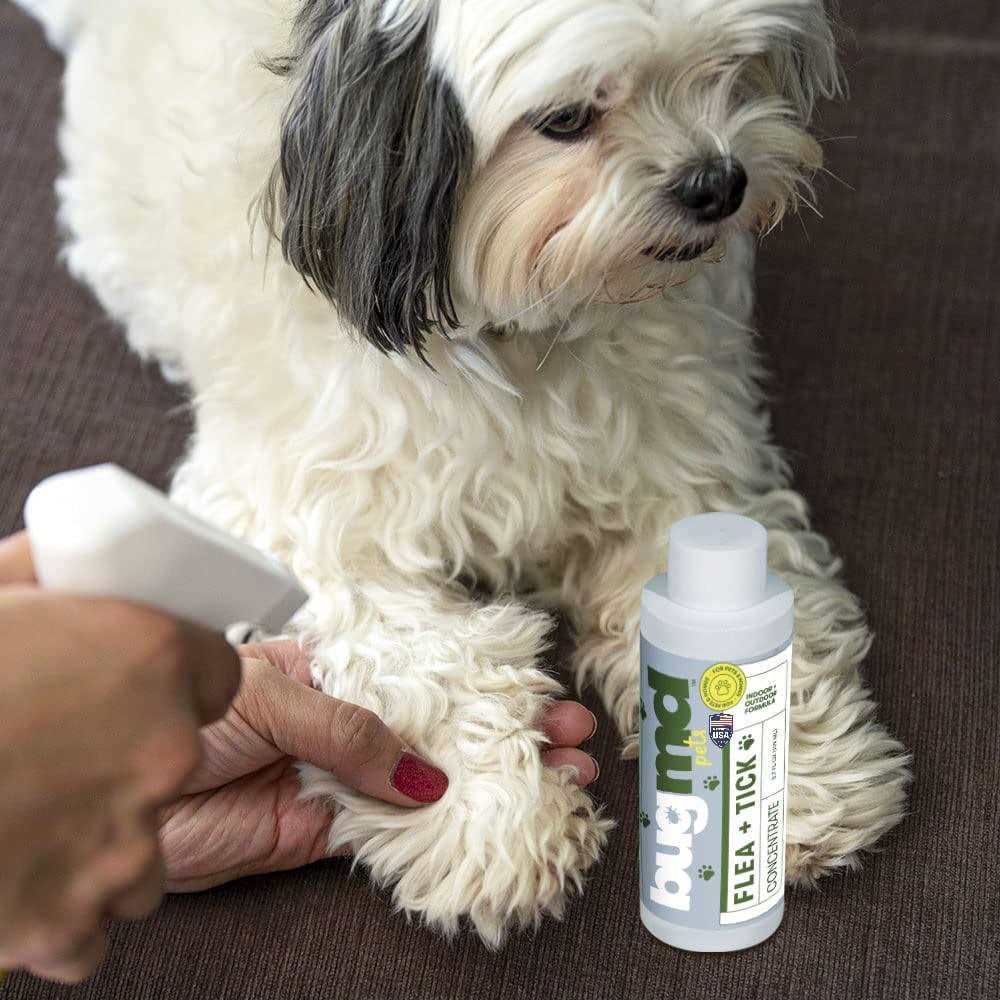 BugMD Flea and Tick Concentrate Essential Oil-Powered Formula, Controls Fleas, Ticks, Mites in Dogs, Cats, and Other Furred Animals - Image 3
