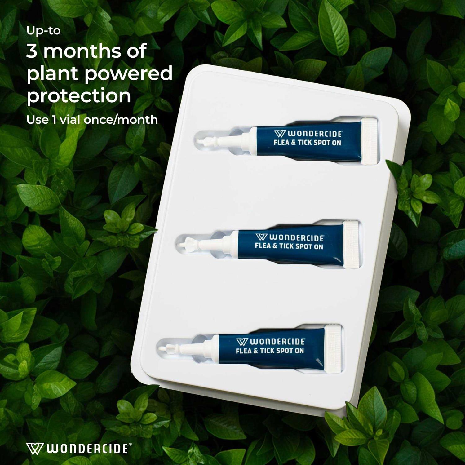 Wondercide Flea & Tick Spot On for Cats - Image 4