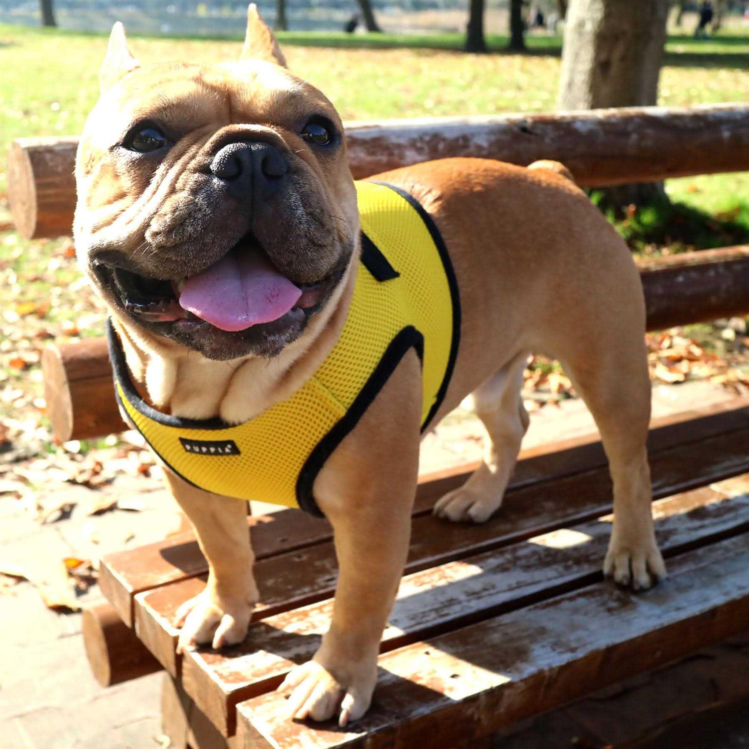 Puppia Harness Soft B Vest - Image 4