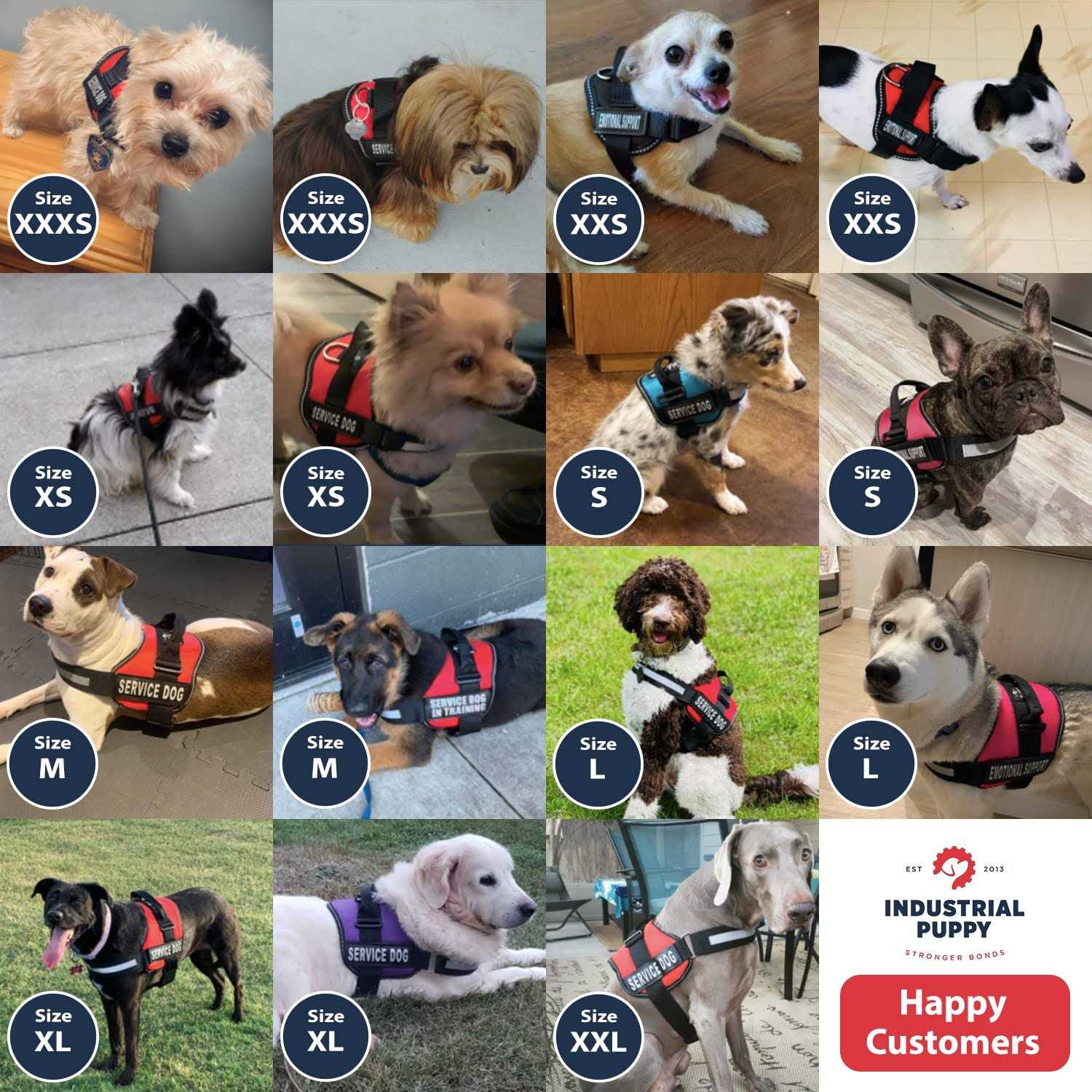 Industrial Puppy Service Dog Vest with Hook and Loop Straps and Handle Harness - Image 4