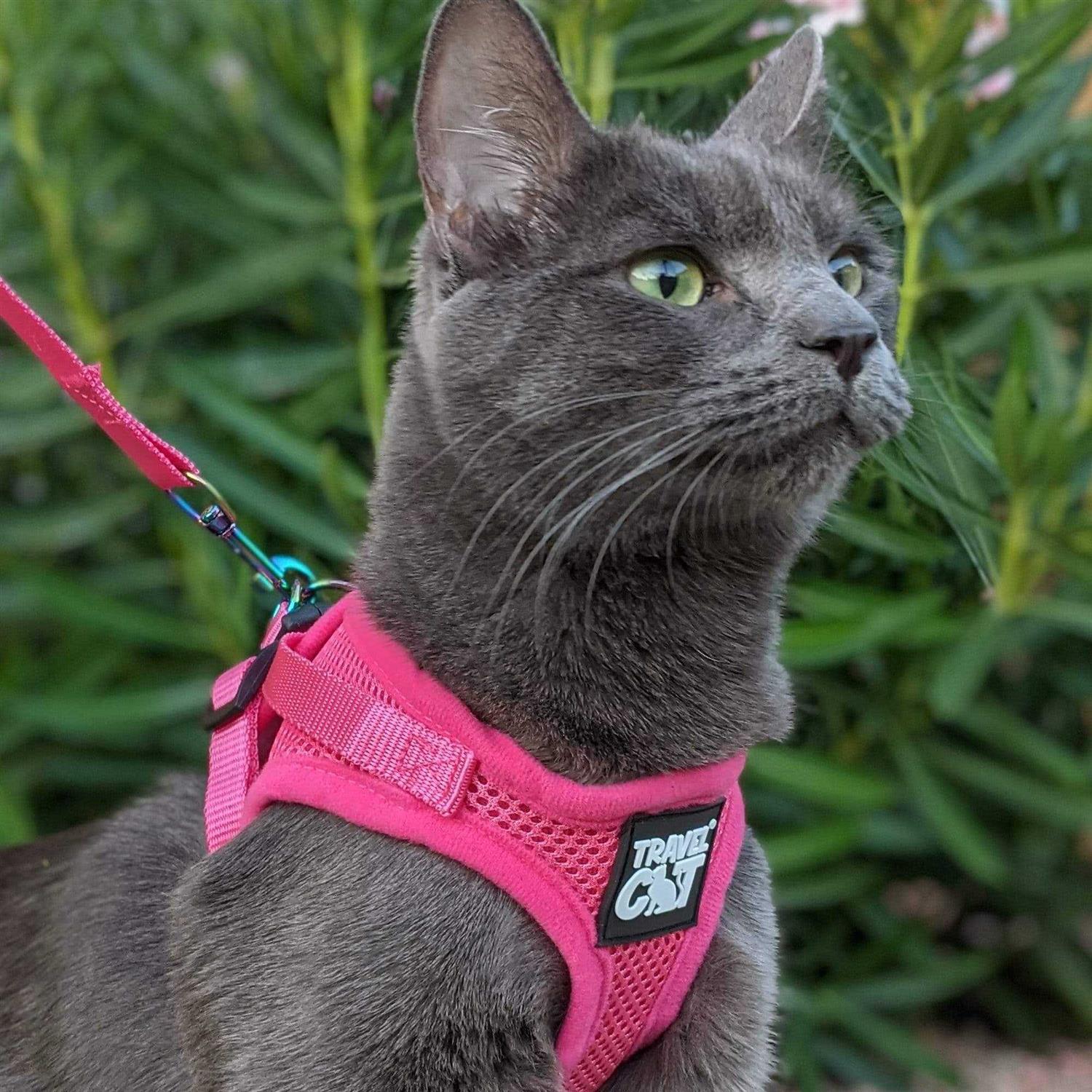 The True Adventurer Reflective Cat & Kitten Harness and Leash - Image 3