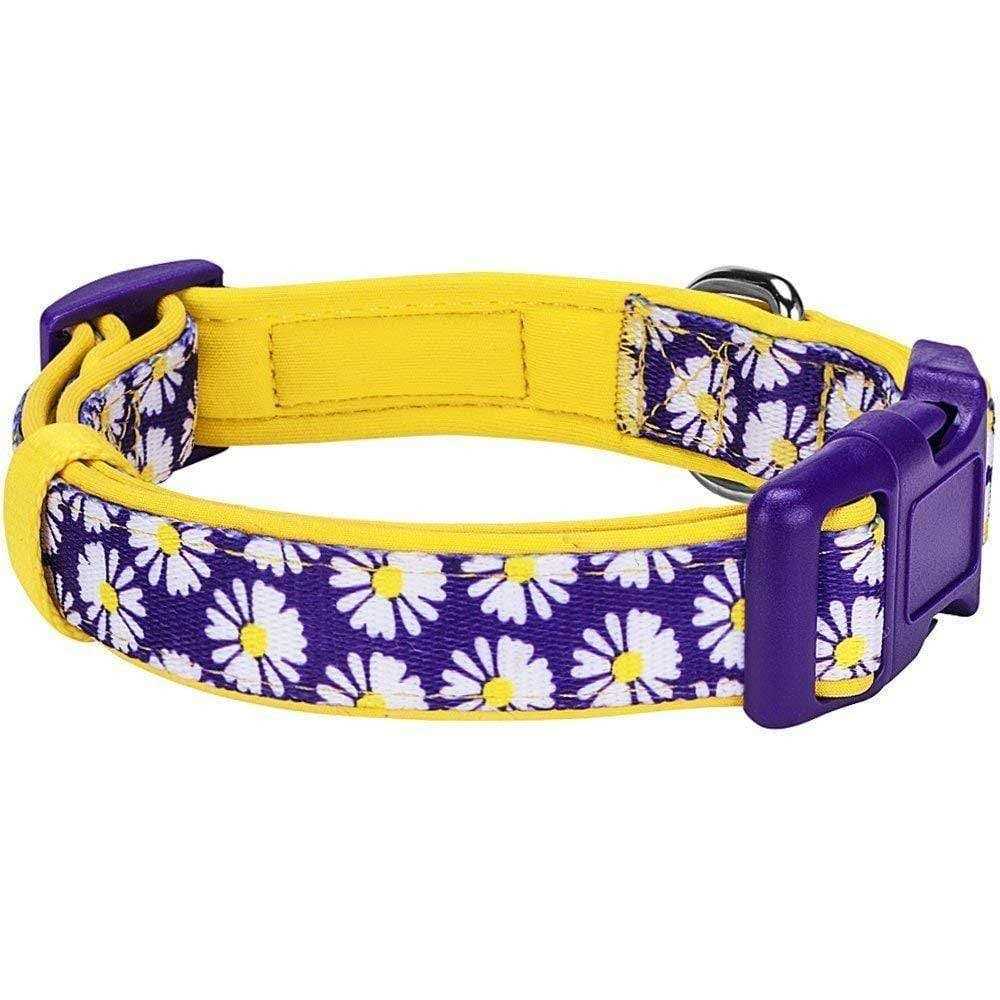 Blueberry Pet Dog Collar - Image 3