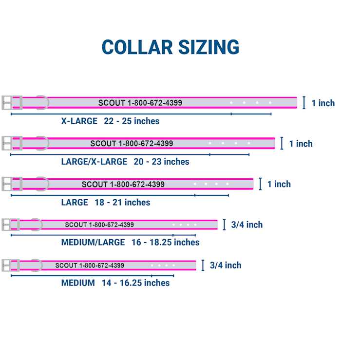 GoTags Adjustable Nameplate Personalized Dog Collar - Image 3