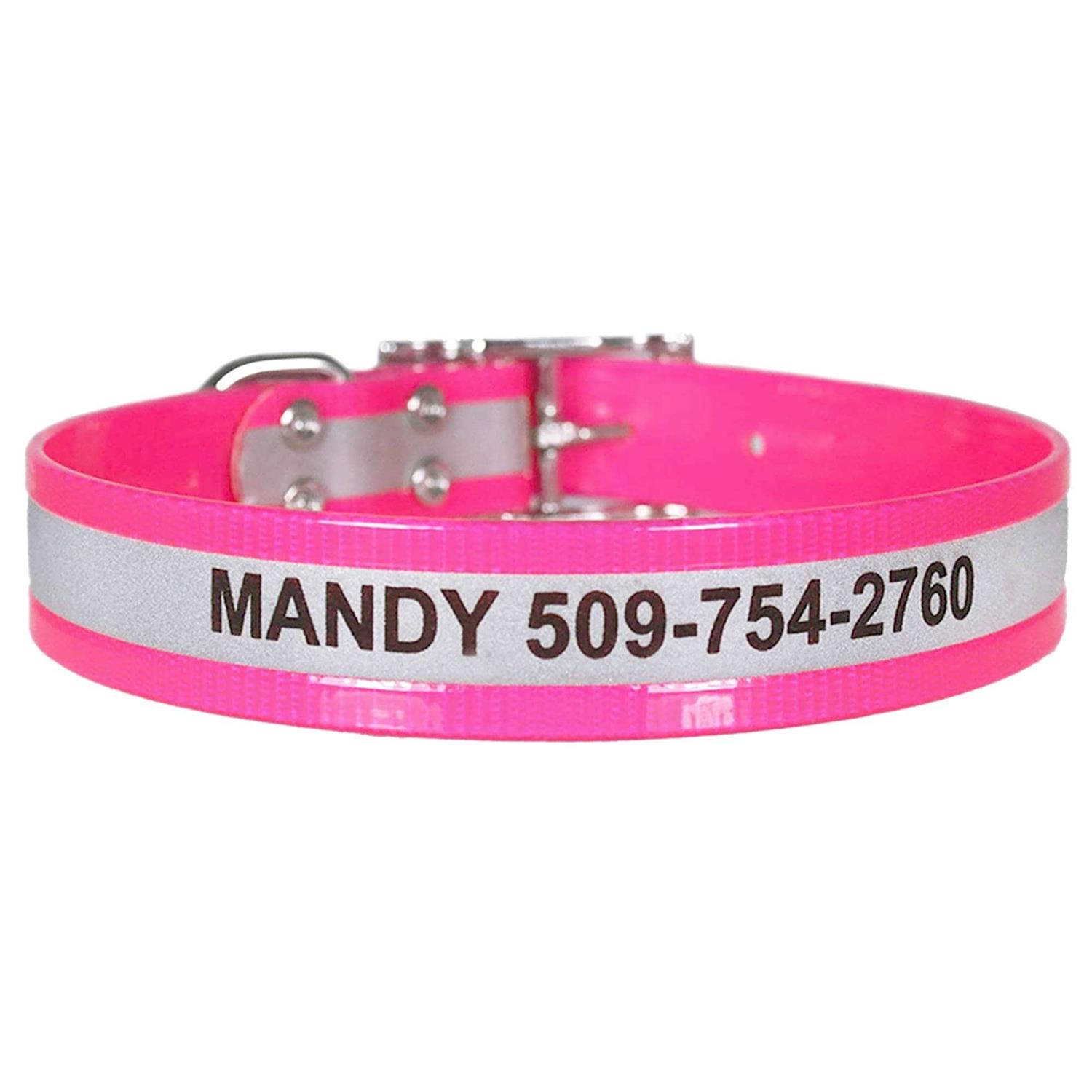 GoTags Adjustable Nameplate Personalized Dog Collar - Image 4