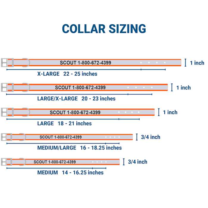 GoTags Adjustable Nameplate Personalized Dog Collar - Image 4