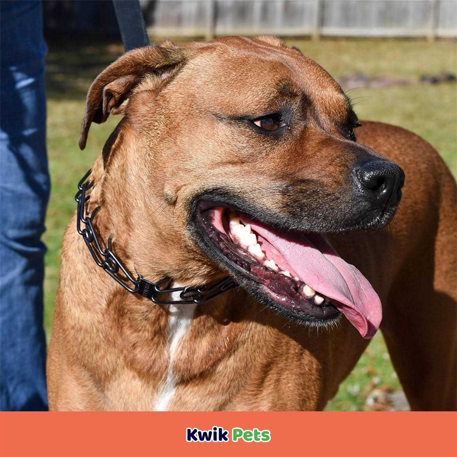 Herm Sprenger Ultra-Plus Stainless Dog Prong Training Collar - Image 3