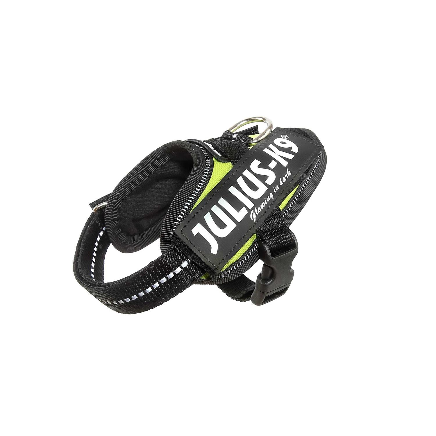 Julius-K9 IDC-Powerharness - Image 4