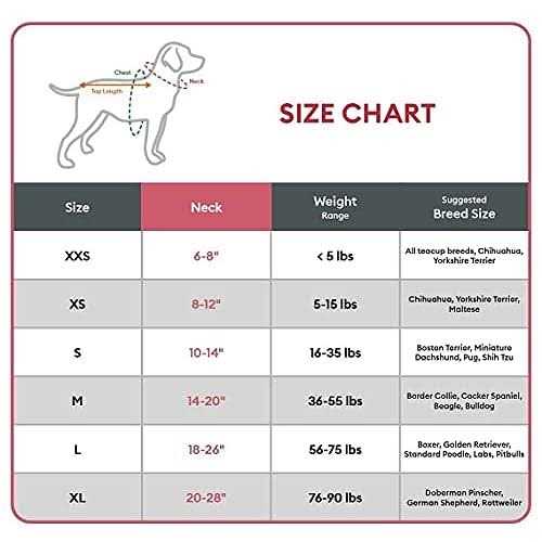 Kong Ultra Durable Padded Comfort Handle Dog Collar - Image 3