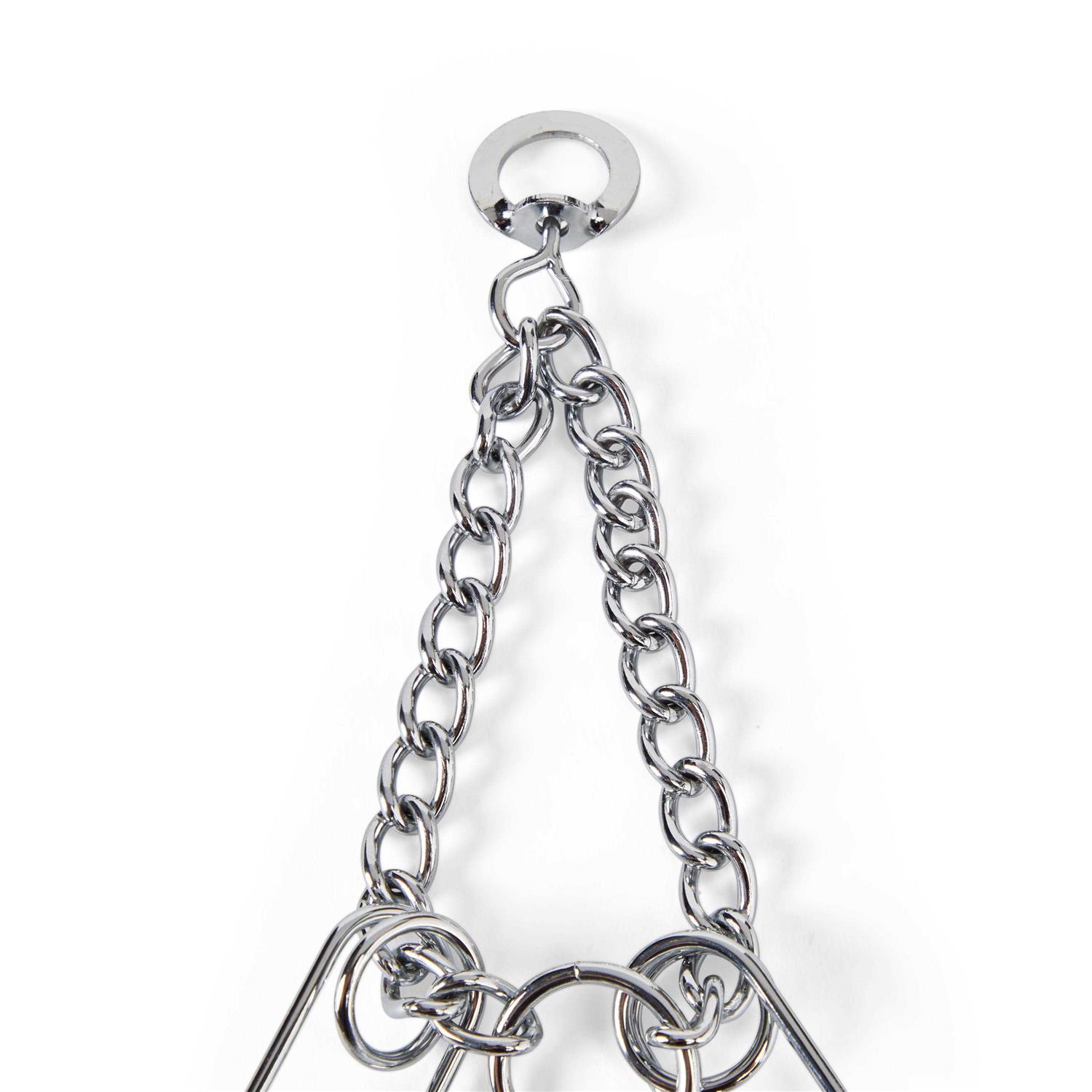 EveryYay Classic Training Dog Collar - Image 4