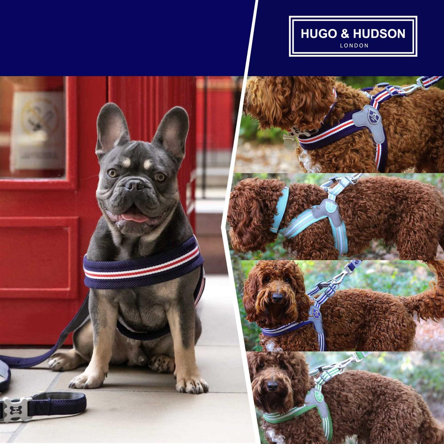 HUGO & HUDSON Easy Walk V Dog Harness - Image 4