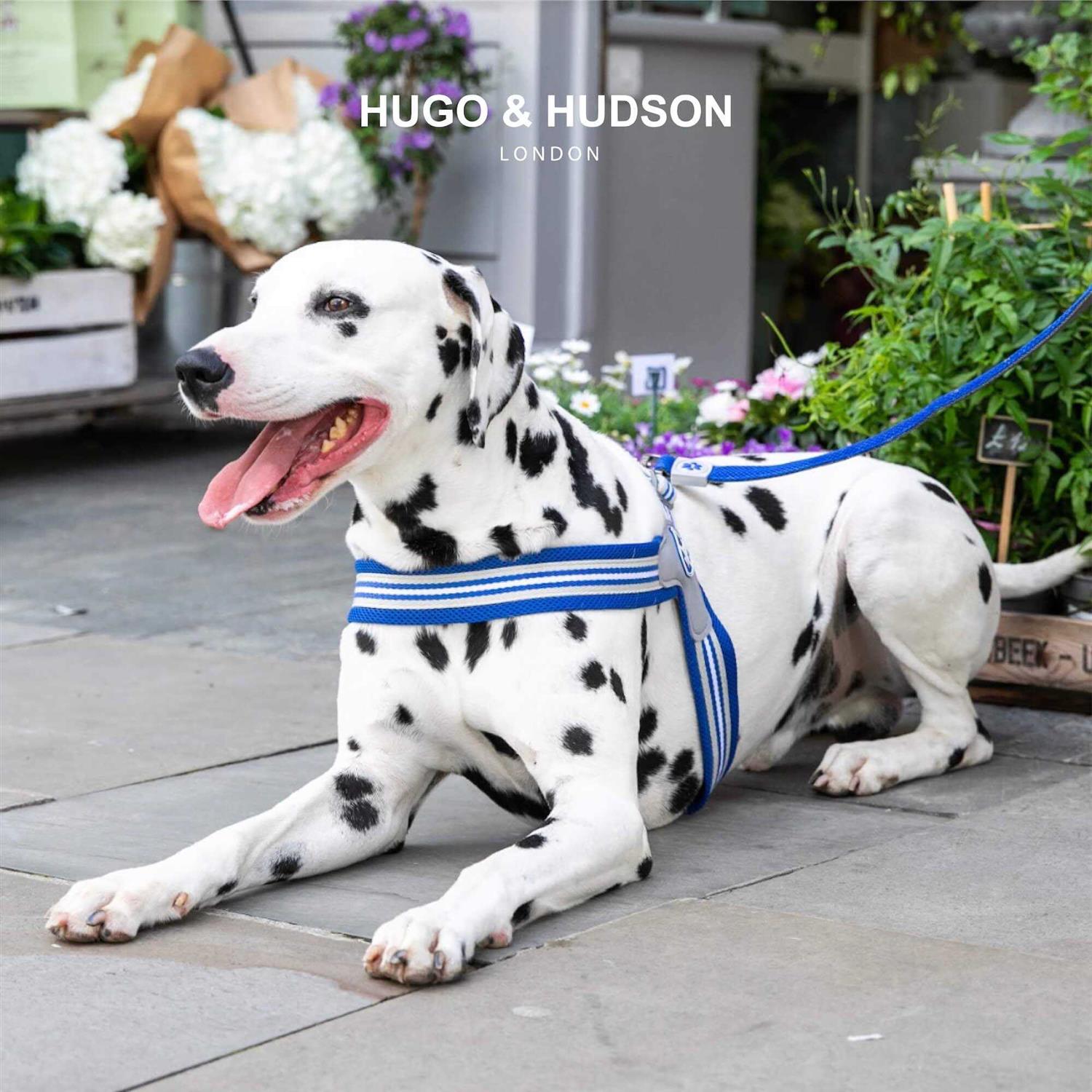 HUGO & HUDSON Easy Walk V Dog Harness - Image 5
