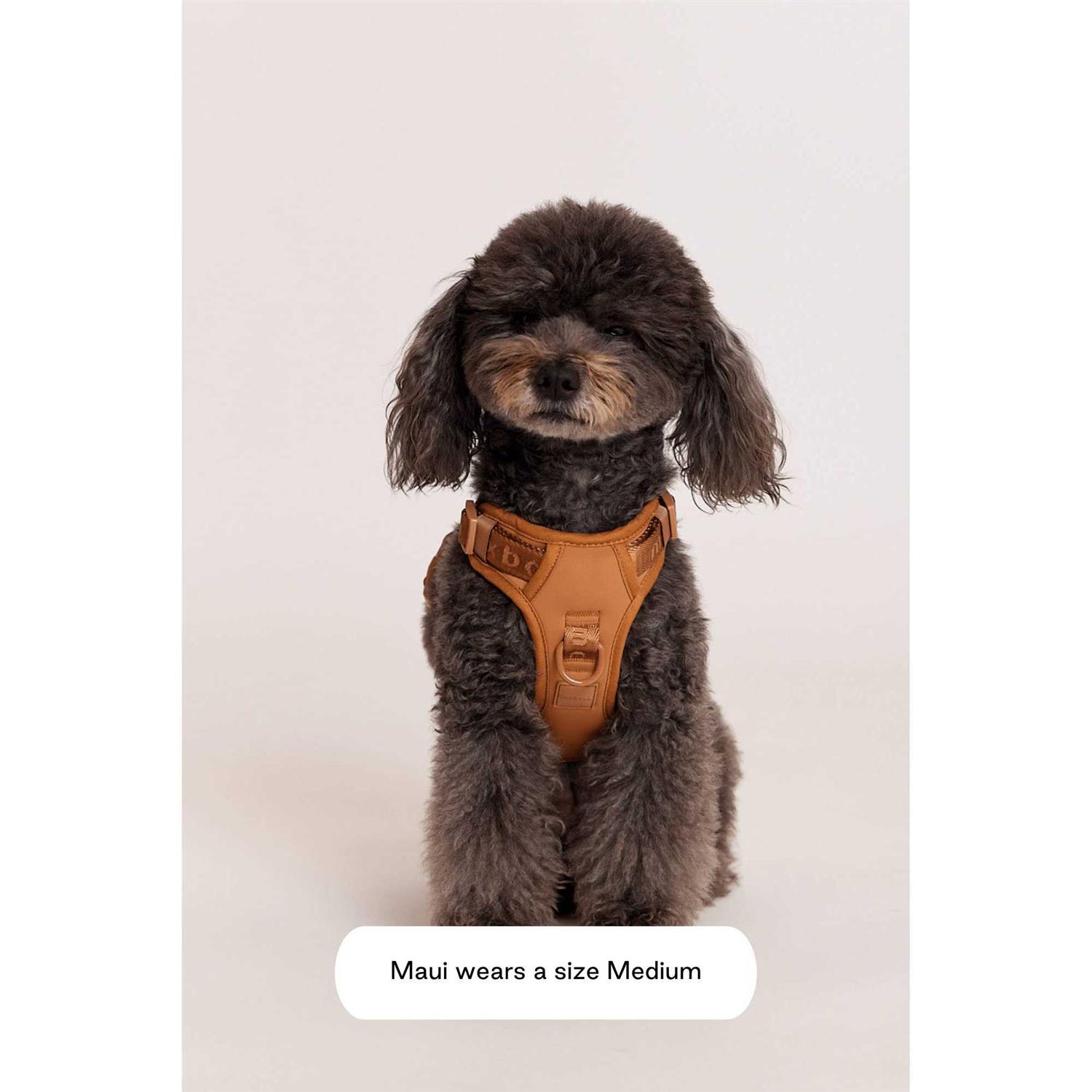 maxbone Easy Fit Harness - Image 3