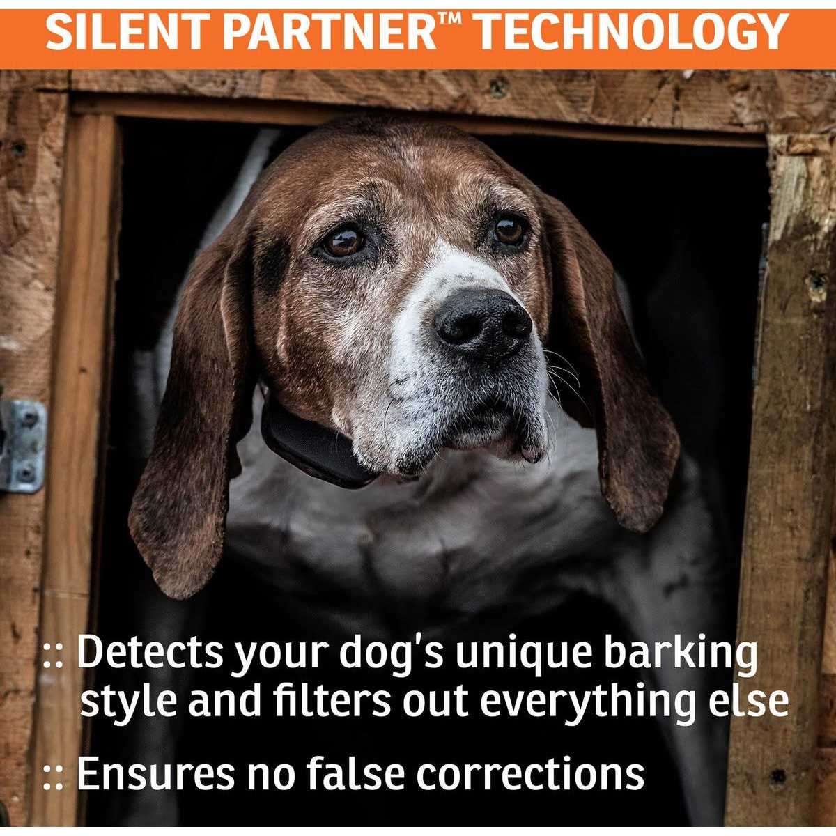 SportDOG NoBark SBC-8 Collar - Image 5