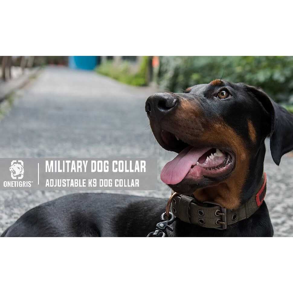Onetigris Military Adjustable Dog Collar with Metal D Ring Buckle 2 Sizes - Image 4