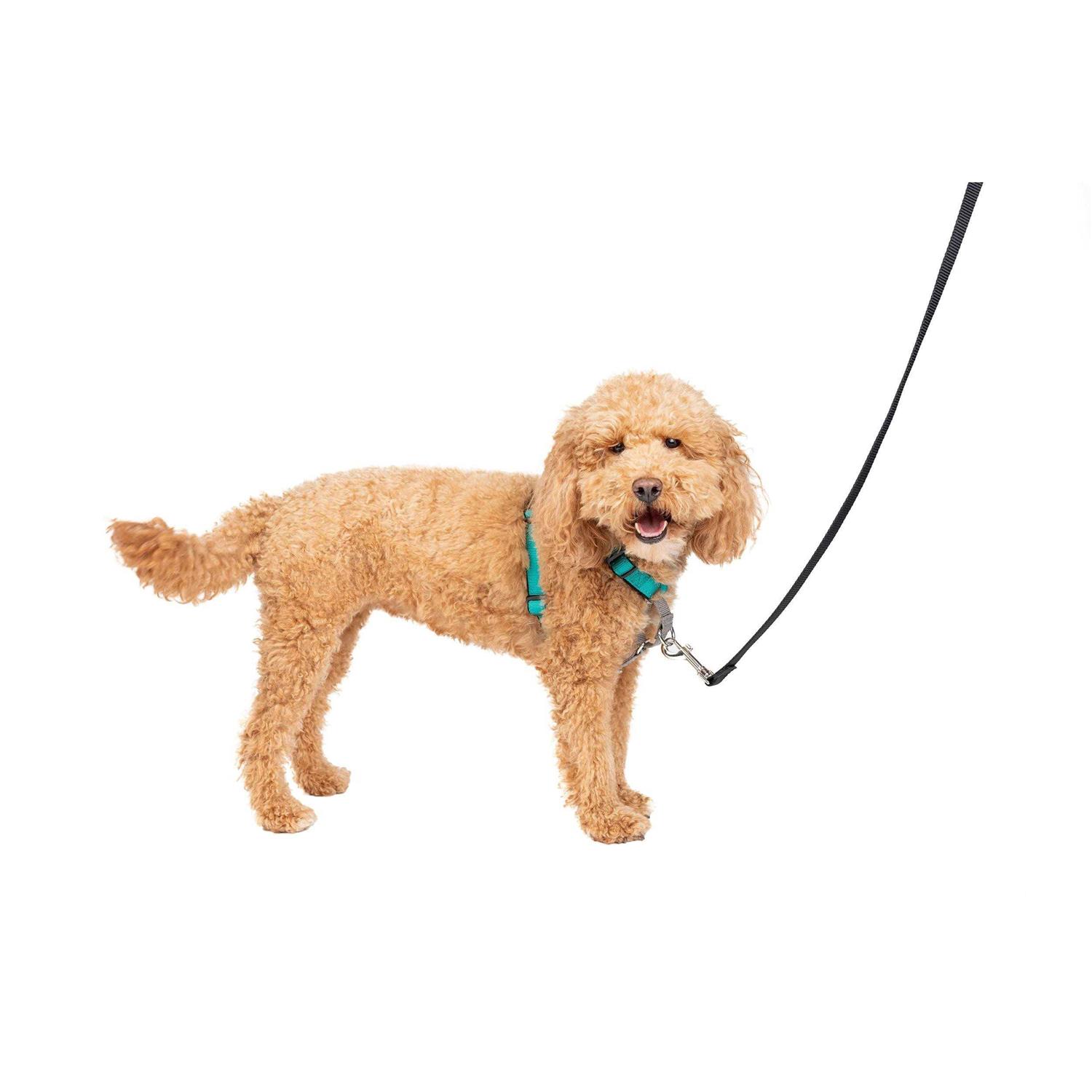 PetSafe 3 in 1 Harness - Image 4